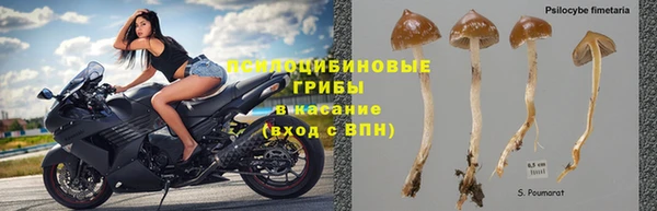 марки lsd Алзамай