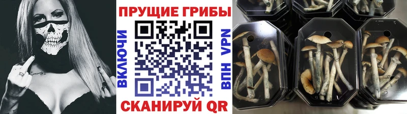 площадка официальный сайт  Березники  Галлюциногенные грибы мухоморы 